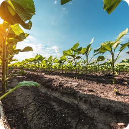 AdobeStock_442335738